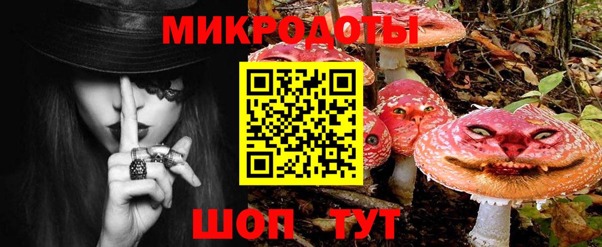 Ноябрьск  Галлюциногенные грибы ЛСД  Псилоцибиновые грибы Psilocybe  Вход с VPN 